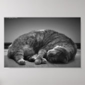 低速日、 ポスター (正面)