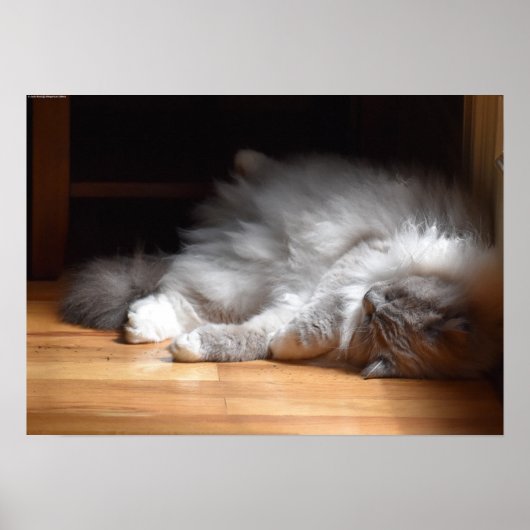 低速日、 ポスター (正面)