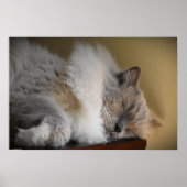 低速日、 ポスター (正面)