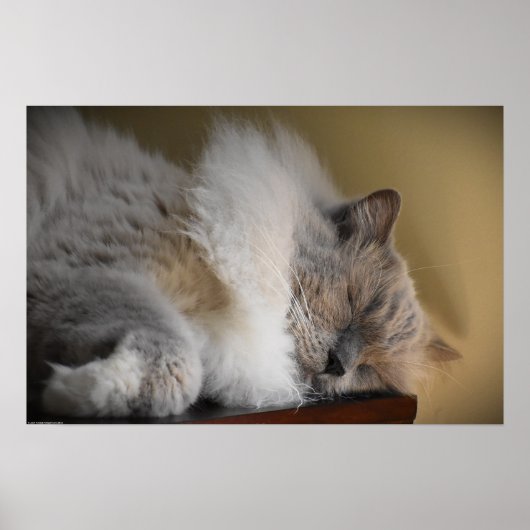 低速日、 ポスター (正面)