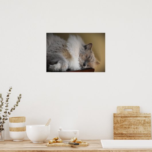 低速日、 ポスター (キッチン)