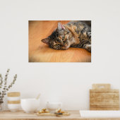 低速日、 ポスター (キッチン)