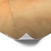 低速日、 ポスター (角)