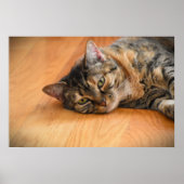 低速日、 ポスター (正面)