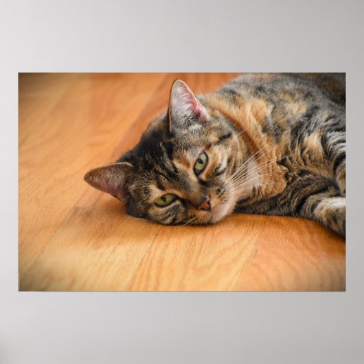 低速日、 ポスター (正面)