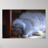 低速日、 ポスター (正面)