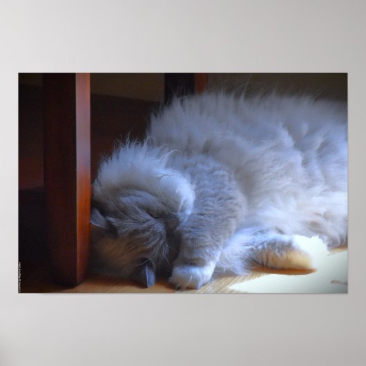 低速日、 ポスター (正面)