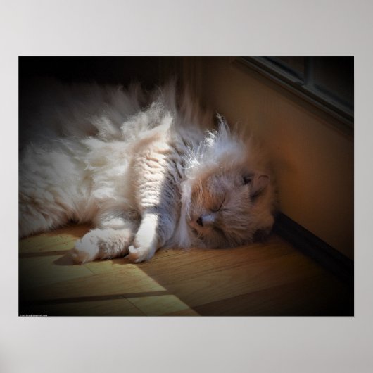 低速日、 ポスター (正面)