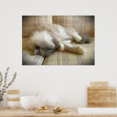 低速日、 ポスター (キッチン)