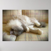 低速日、 ポスター (正面)