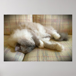 低速日、 ポスター