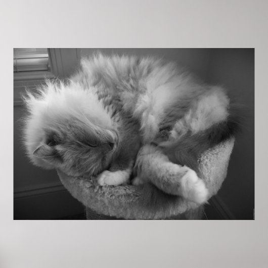 低速日、 ポスター (正面)