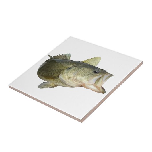 低音の魚釣り タイル (側面)