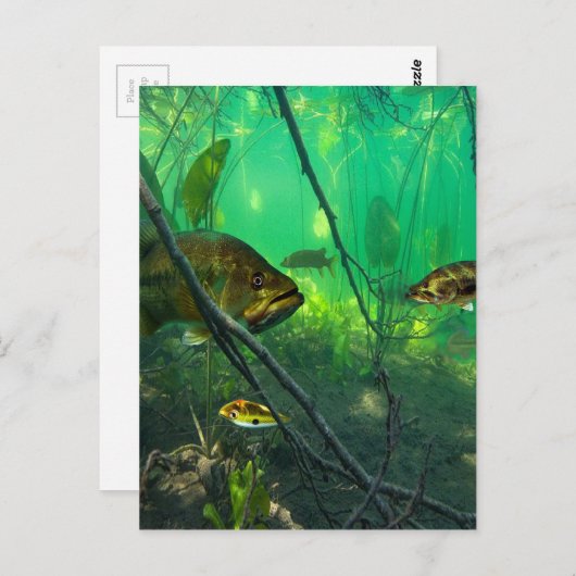 低音 ポストカード (正面/裏面)