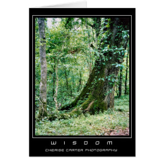 住み、学んで下さい