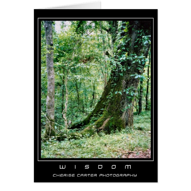 住み、学んで下さい (正面)