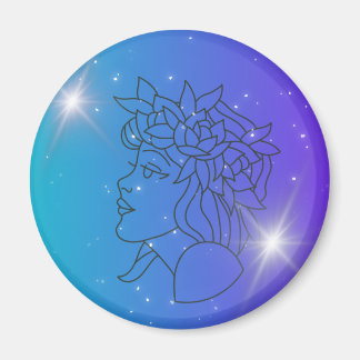 住宅用マグネット マグネット