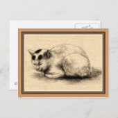 住宅用猫インク日本のスケッチはがき ポストカード (正面/裏面)