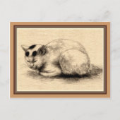 住宅用猫インク日本のスケッチはがき ポストカード (正面)