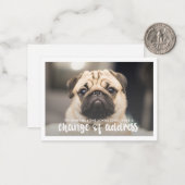 住所おもしろいの変更ペットドッグ写真 ノートカード (正面/裏面インサイチュ)