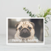 住所おもしろいの変更ペットドッグ写真 招待状 (スタンド正面)