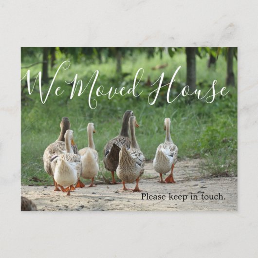 住所の変更おもしろい写真カスタム葉書 ポストカード (正面)