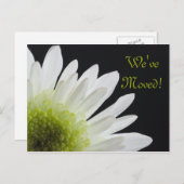 住所の変更に関する白いデイジー 案内ポストカード (正面/裏面)