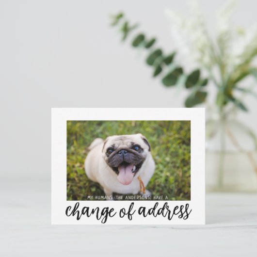 住所の変更を移動した犬写真はがき ポストカード (スタンド正面)