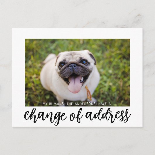住所の変更を移動した犬写真はがき ポストカード (正面)