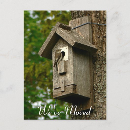 住所の変更 案内ポストカード (正面)