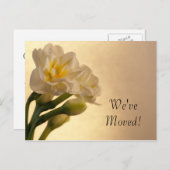 住所の変更(白) 案内ポストカード (正面/裏面)