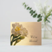 住所の変更(白) 案内ポストカード (スタンド正面)