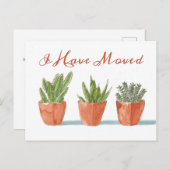 住所の新規作成 |移動しました|サボテンの水色 ポストカード (正面/裏面)