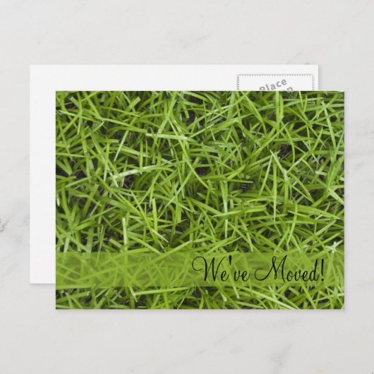 住所の緑の草変更 案内ポストカード (正面/裏面)