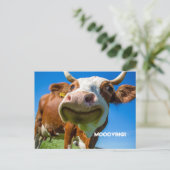 住所はがきの変更 シーズンポストカード (スタンド正面)