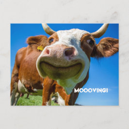 住所はがきの変更 シーズンポストカード