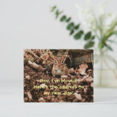 住所はがきの変更 案内ポストカード (スタンド正面)