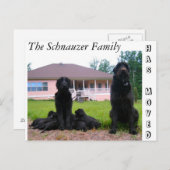 住所はがきの変更 案内ポストカード (正面/裏面)