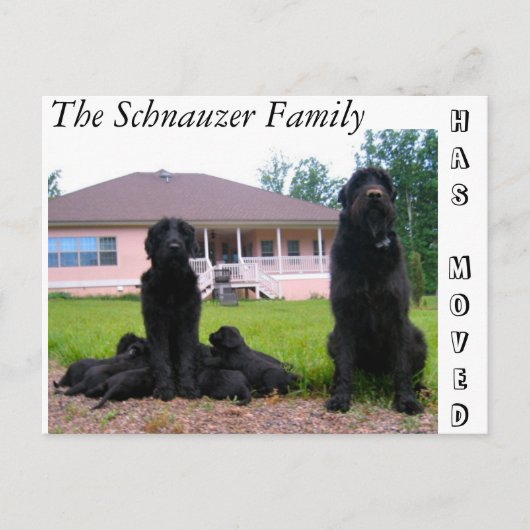 住所はがきの変更 案内ポストカード (正面)