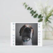 住所はがきの大きなノーズ犬の変更 ポストカード (スタンド正面)