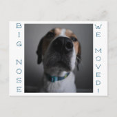 住所はがきの大きなノーズ犬の変更 ポストカード (正面)