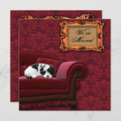 住所はがきの子犬のソファ変更 案内状 (正面/裏面)