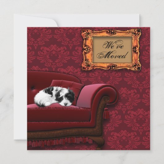 住所はがきの子犬のソファ変更 案内状 (正面)