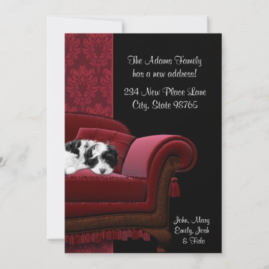 住所はがきの子犬のソファ変更 案内状 (正面)