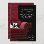 住所はがきの子犬のソファ変更 案内状 (正面/裏面)