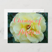 住所はがき(バラ花写真) 案内ポストカード (正面/裏面)