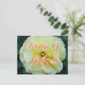 住所はがき(バラ花写真) 案内ポストカード (スタンド正面)