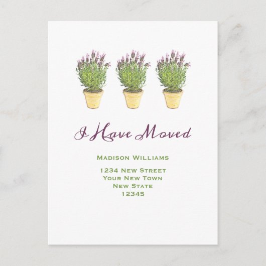 住所エレガントの変更 |お知らせ ポストカード (正面)