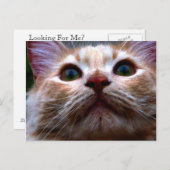 住所カードの変更 案内ポストカード (正面/裏面)