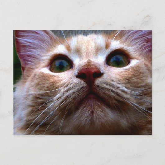 住所カードの変更 案内ポストカード (正面)